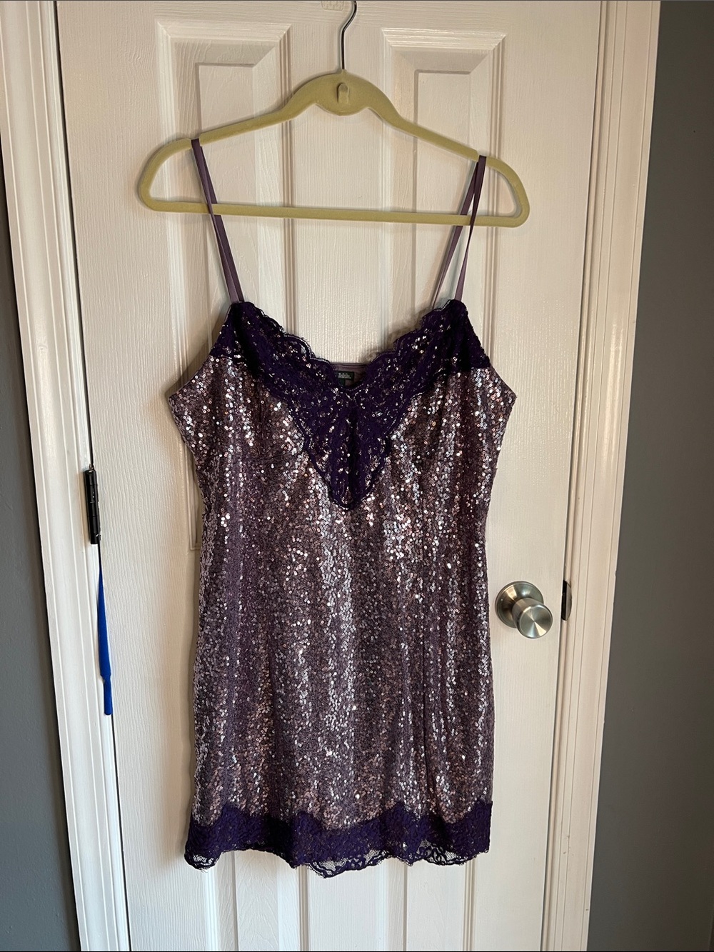 wild fable Purple Sequin Lace Slip
